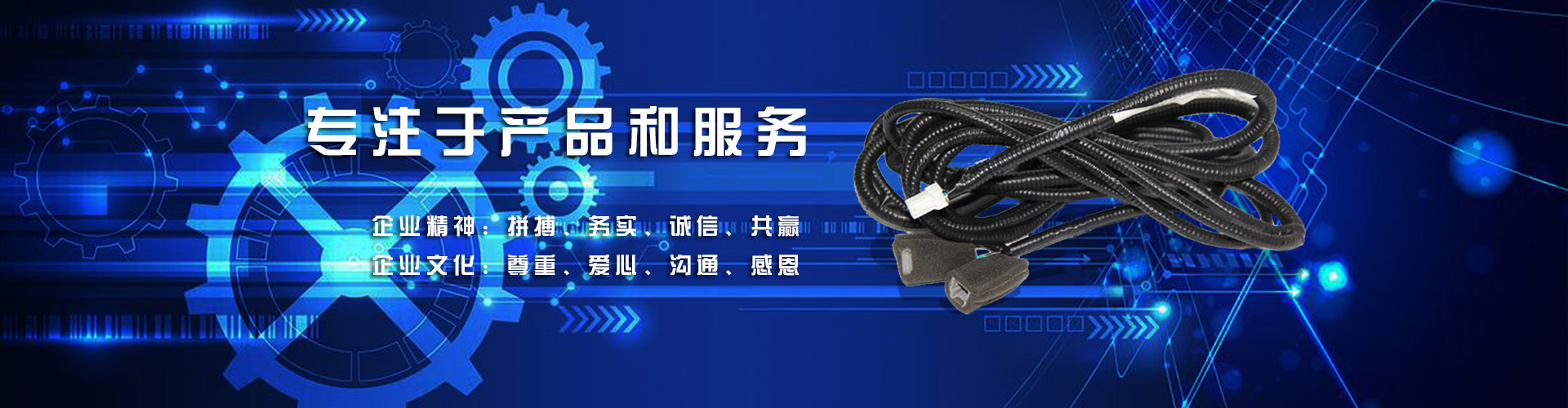 菲律賓vs新西蘭