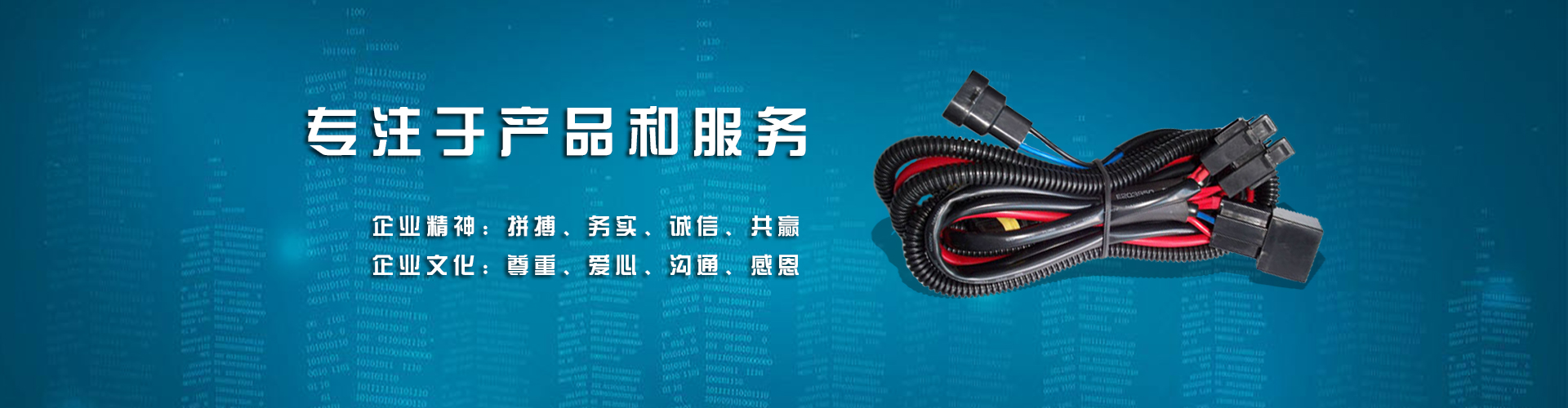 歐錦賽